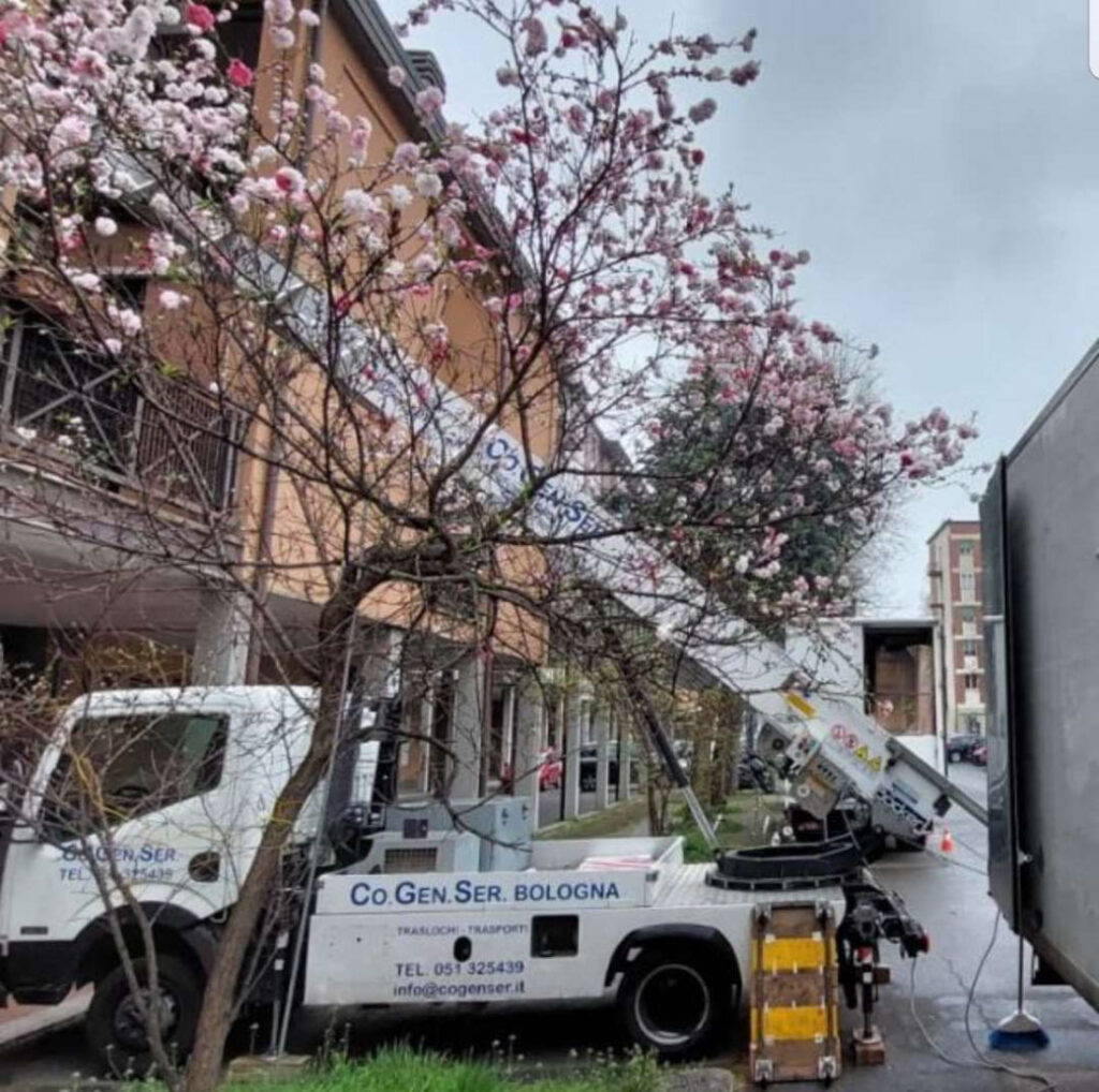 Traslochi e trasporti Bologna